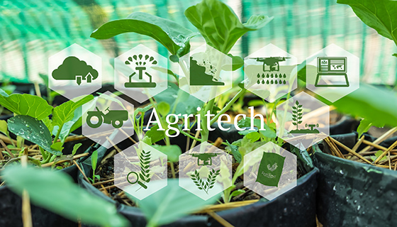 物聯網於農業的應用